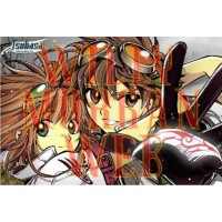 Tsubasa Chronicle 1